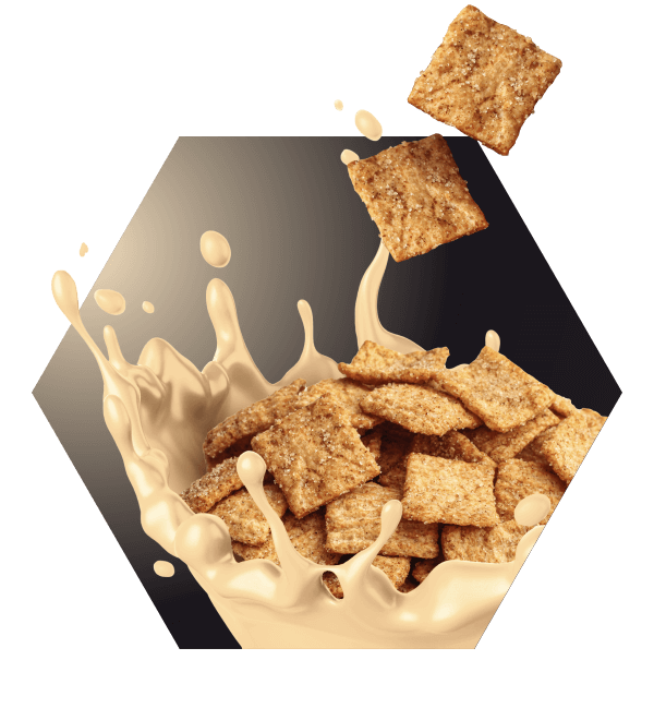 Whey Protein Complex – Cinnamon Crunch – BODYSHAKE®